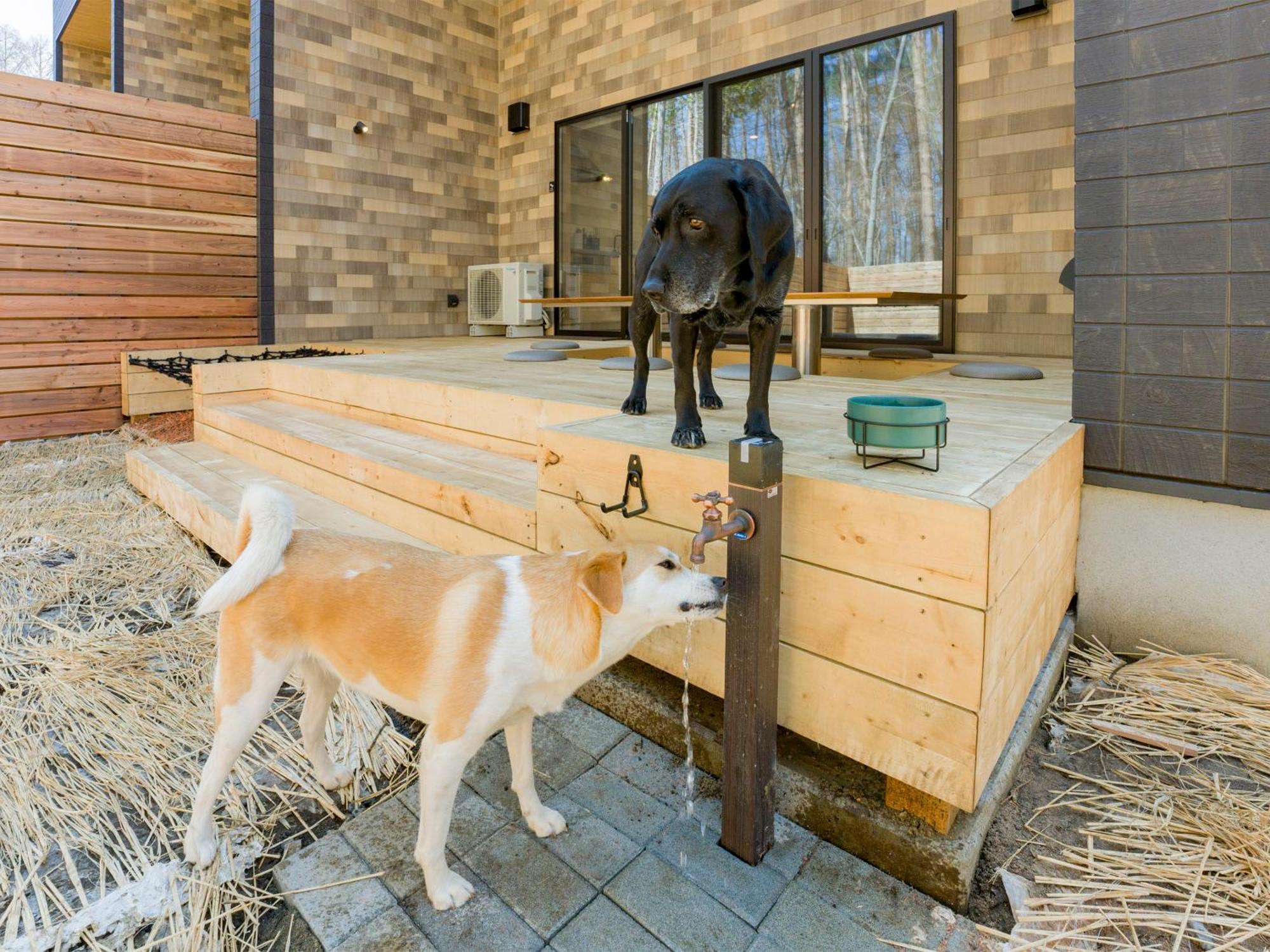 Rakuten Stay Villa Fujikawaguchiko Forest Εξωτερικό φωτογραφία